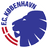FC Copenhagen crest