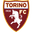 Torino crest